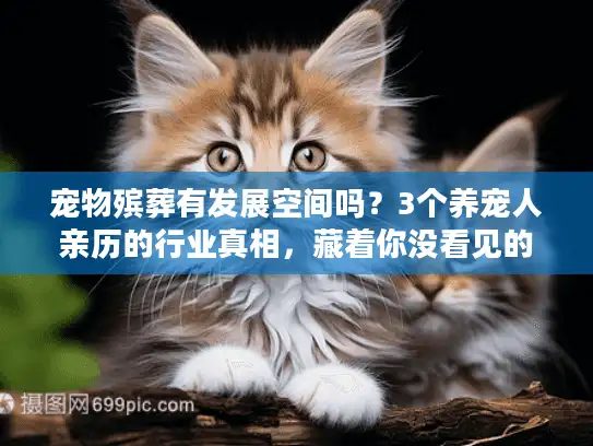 宠物殡葬有发展空间吗？3个养宠人亲历的行业真相，藏着你没看见的需求