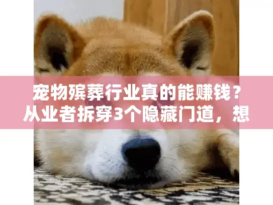 宠物殡葬行业真的能赚钱？从业者拆穿3个隐藏门道，想入行或找服务必看
