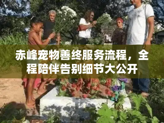 赤峰宠物善终服务流程，全程陪伴告别细节大公开