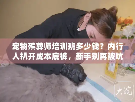 宠物殡葬师培训班多少钱？内行人扒开成本底裤，新手别再被坑