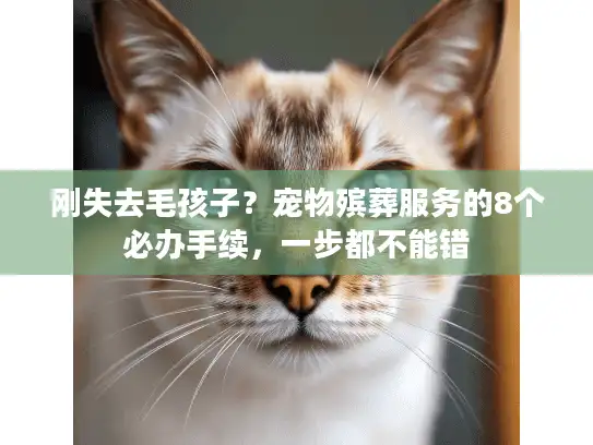 刚失去毛孩子？宠物殡葬服务的8个必办手续，一步都不能错
