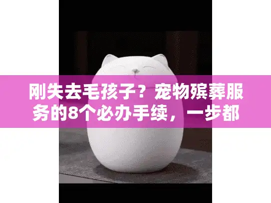 刚失去毛孩子？宠物殡葬服务的8个必办手续，一步都不能错