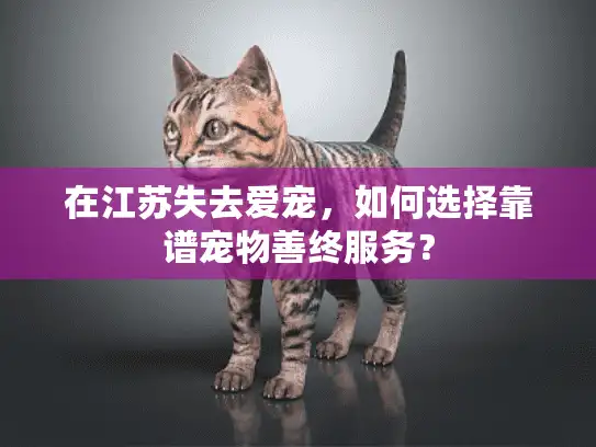在江苏失去爱宠，如何选择靠谱宠物善终服务？