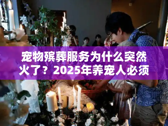宠物殡葬服务为什么突然火了？2025年养宠人必须懂的身后事真相