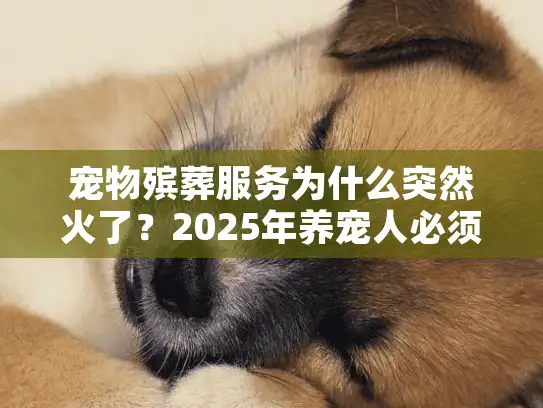 宠物殡葬服务为什么突然火了？2025年养宠人必须懂的身后事真相