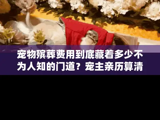 宠物殡葬费用到底藏着多少不为人知的门道？宠主亲历算清每一笔账