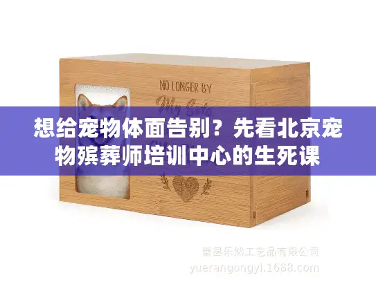 想给宠物体面告别？先看北京宠物殡葬师培训中心的生死课