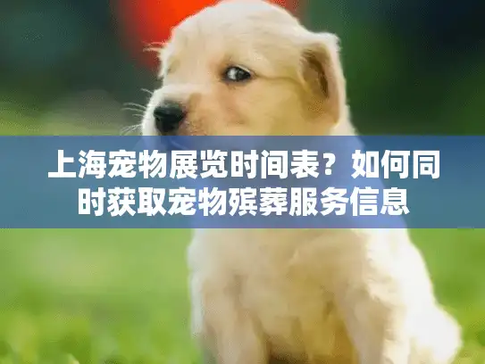 上海宠物展览时间表？如何同时获取宠物殡葬服务信息