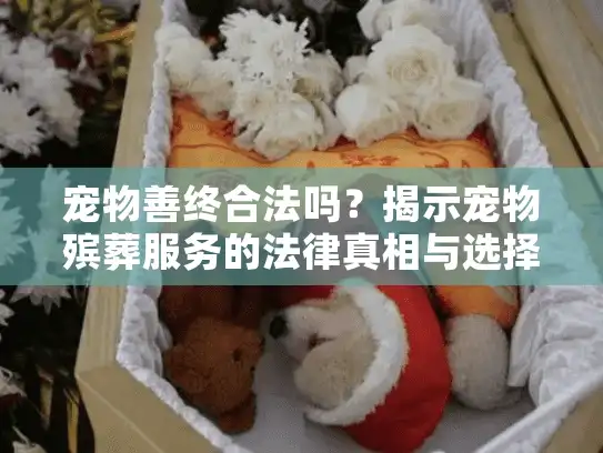 宠物善终合法吗？揭示宠物殡葬服务的法律真相与选择指南