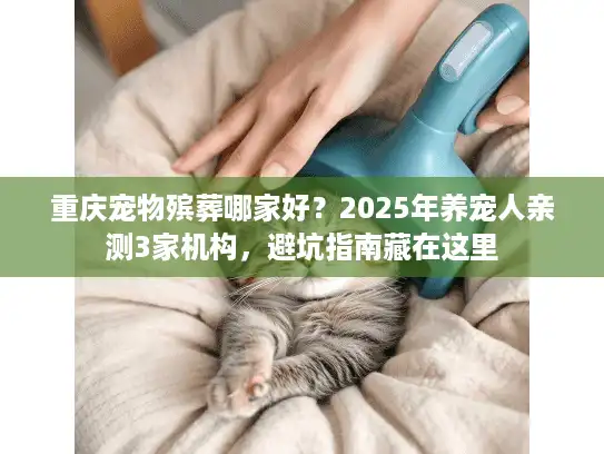 重庆宠物殡葬哪家好？2025年养宠人亲测3家机构，避坑指南藏在这里