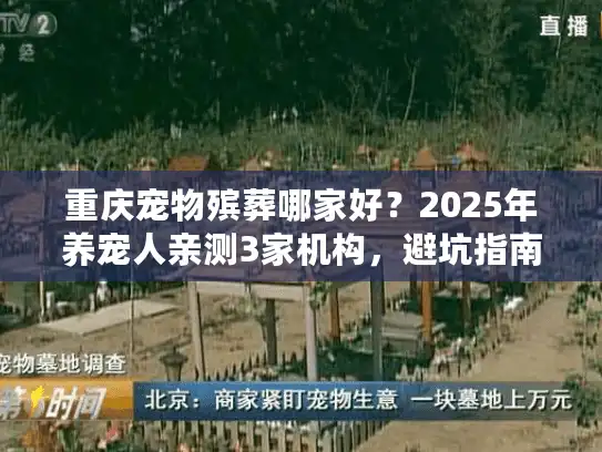 重庆宠物殡葬哪家好？2025年养宠人亲测3家机构，避坑指南藏在这里