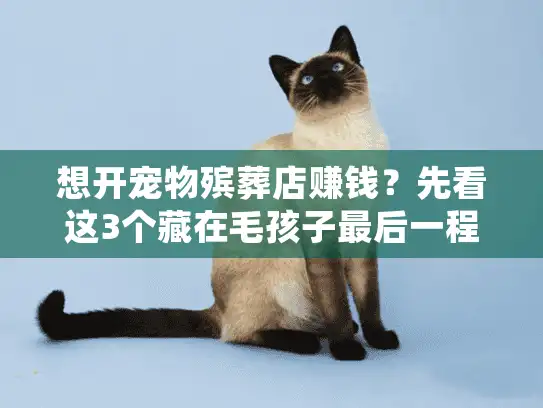 想开宠物殡葬店赚钱？先看这3个藏在毛孩子最后一程里的盈利真相