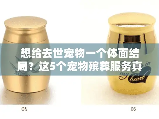 想给去世宠物一个体面结局？这5个宠物殡葬服务真相90%宠主都没搞懂