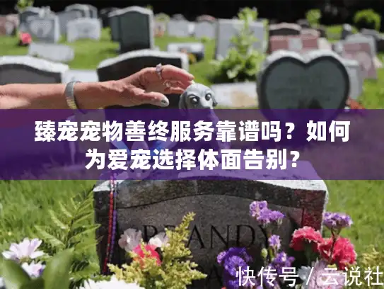 臻宠宠物善终服务靠谱吗？如何为爱宠选择体面告别？