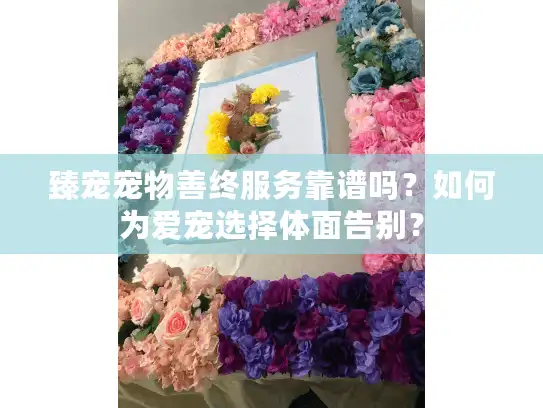 臻宠宠物善终服务靠谱吗？如何为爱宠选择体面告别？