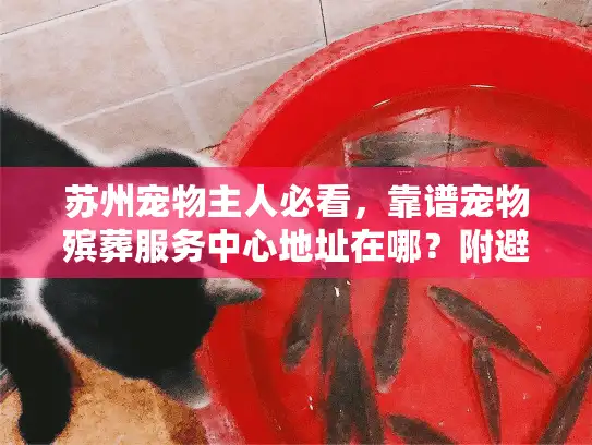 苏州宠物主人必看，靠谱宠物殡葬服务中心地址在哪？附避坑指南