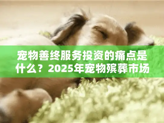 宠物善终服务投资的痛点是什么？2025年宠物殡葬市场蓝海攻略