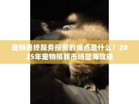 宠物善终服务投资的痛点是什么？2025年宠物殡葬市场蓝海攻略