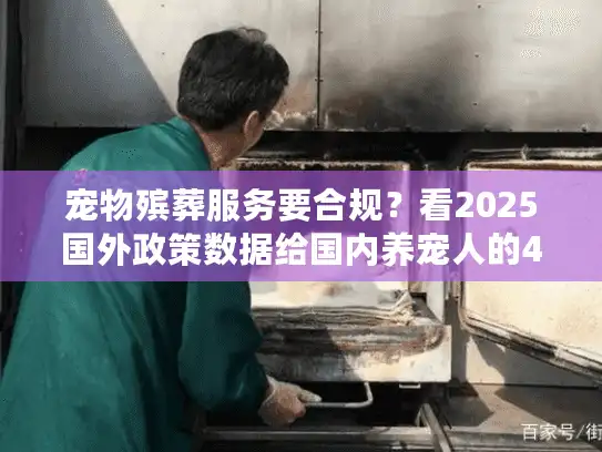 宠物殡葬服务要合规？看2025国外政策数据给国内养宠人的4个关键提醒