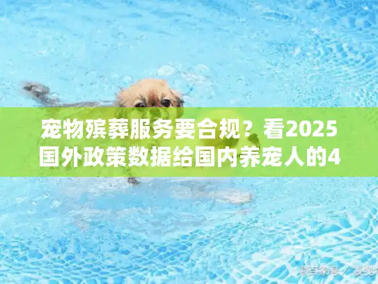 宠物殡葬服务要合规？看2025国外政策数据给国内养宠人的4个关键提醒