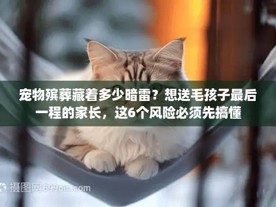 宠物殡葬藏着多少暗雷？想送毛孩子最后一程的家长，这6个风险必须先搞懂
