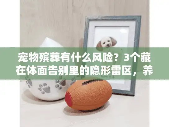 宠物殡葬有什么风险？3个藏在体面告别里的隐形雷区，养宠人必看