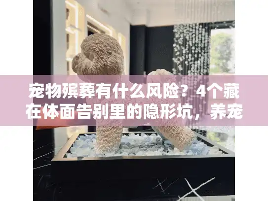 宠物殡葬有什么风险？4个藏在体面告别里的隐形坑，养宠人必看