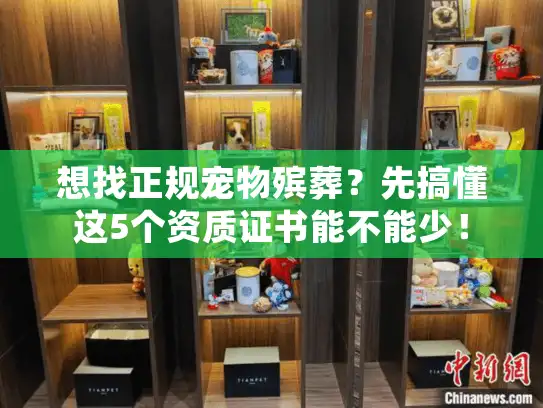 想找正规宠物殡葬？先搞懂这5个资质证书能不能少！