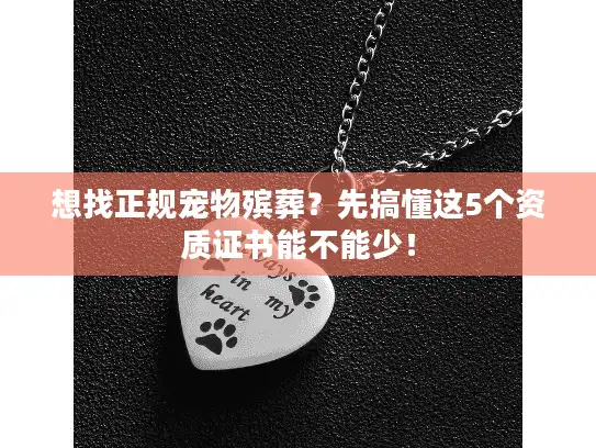 想找正规宠物殡葬？先搞懂这5个资质证书能不能少！