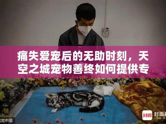 痛失爱宠后的无助时刻，天空之城宠物善终如何提供专业宠物殡葬服务？