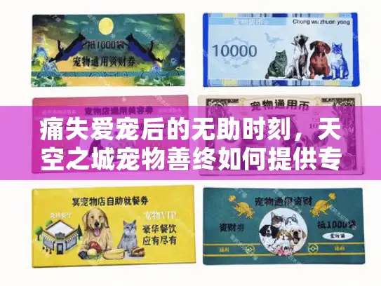 痛失爱宠后的无助时刻，天空之城宠物善终如何提供专业宠物殡葬服务？