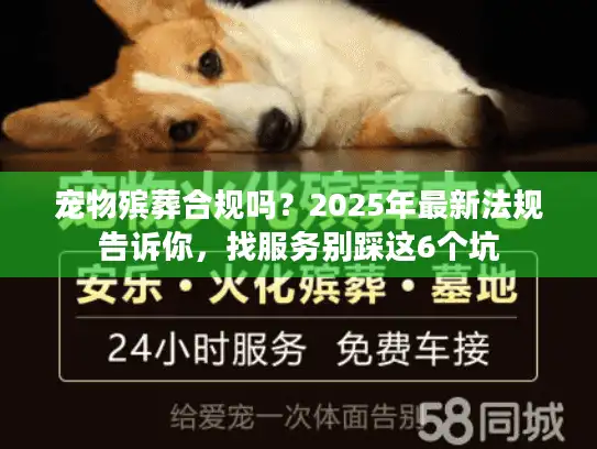 宠物殡葬合规吗？2025年最新法规告诉你，找服务别踩这6个坑