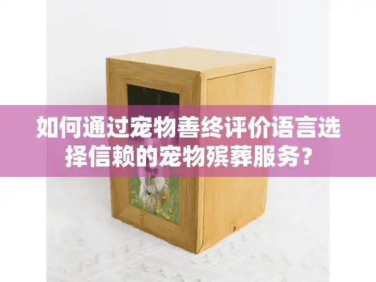 如何通过宠物善终评价语言选择信赖的宠物殡葬服务？