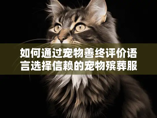 如何通过宠物善终评价语言选择信赖的宠物殡葬服务？