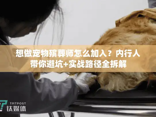 想做宠物殡葬师怎么加入？内行人带你避坑+实战路径全拆解