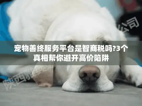 宠物善终服务平台是智商税吗?3个真相帮你避开高价陷阱