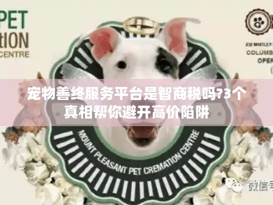 宠物善终服务平台是智商税吗?3个真相帮你避开高价陷阱