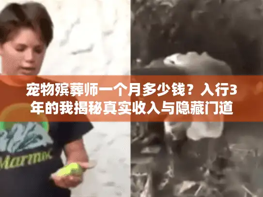 宠物殡葬师一个月多少钱？入行3年的我揭秘真实收入与隐藏门道