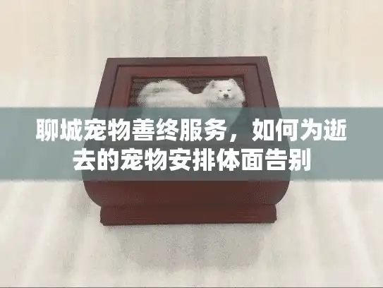 聊城宠物善终服务，如何为逝去的宠物安排体面告别