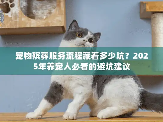 宠物殡葬服务流程藏着多少坑？2025年养宠人必看的避坑建议