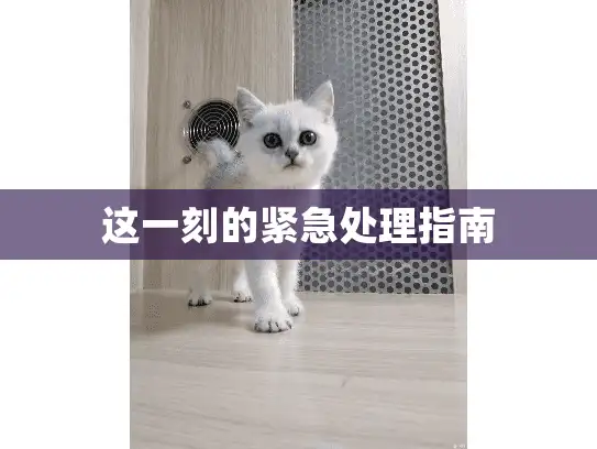 这一刻的紧急处理指南