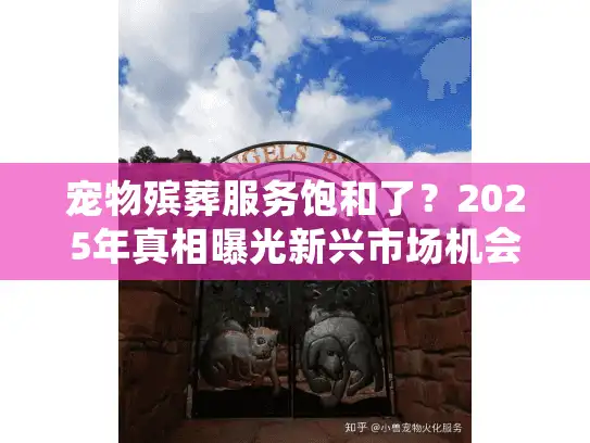宠物殡葬服务饱和了？2025年真相曝光新兴市场机会
