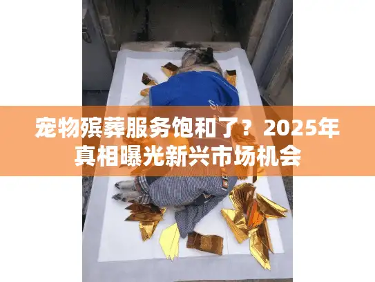 宠物殡葬服务饱和了？2025年真相曝光新兴市场机会