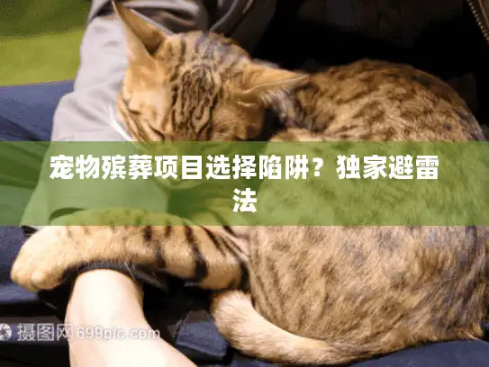宠物殡葬项目选择陷阱？独家避雷法