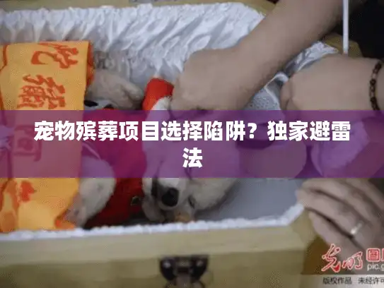 宠物殡葬项目选择陷阱？独家避雷法