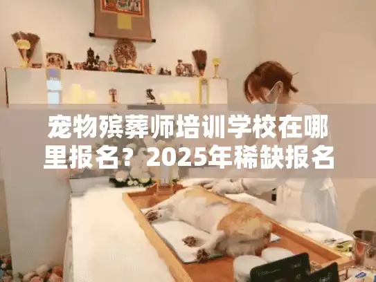 宠物殡葬师培训学校在哪里报名？2025年稀缺报名指南限时开启