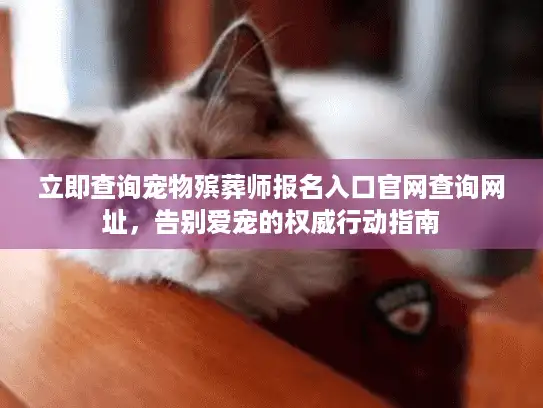立即查询宠物殡葬师报名入口官网查询网址，告别爱宠的权威行动指南