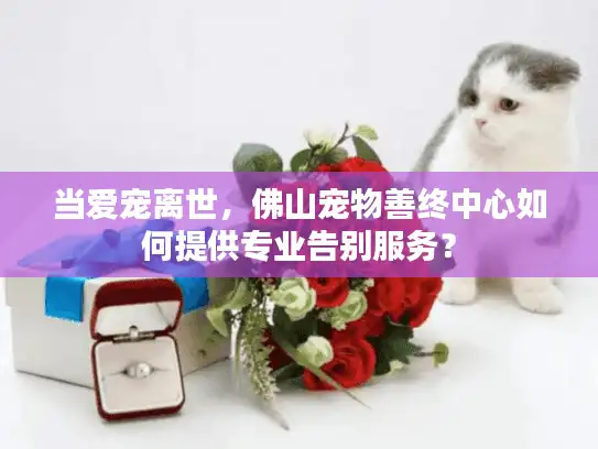 当爱宠离世，佛山宠物善终中心如何提供专业告别服务？