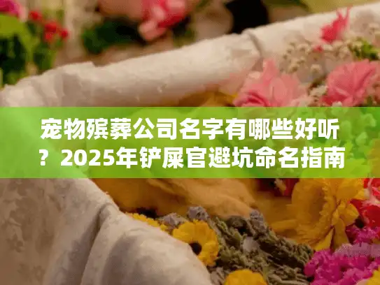 宠物殡葬公司名字有哪些好听？2025年铲屎官避坑命名指南