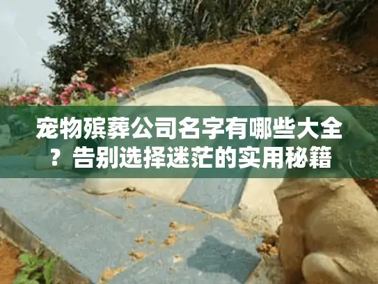 宠物殡葬公司名字有哪些大全？告别选择迷茫的实用秘籍